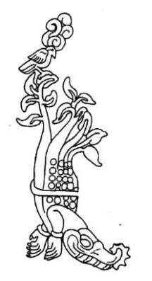 [Image: Maya Crocodile tree]