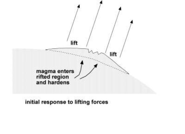 [Image: Initial
response to lifting forces]