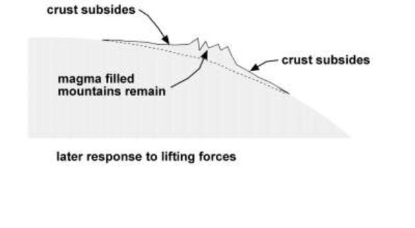 [Image: Later
response to lifting forces]