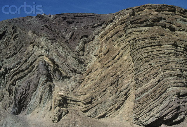 Folds in sedimentary rocks; note fault