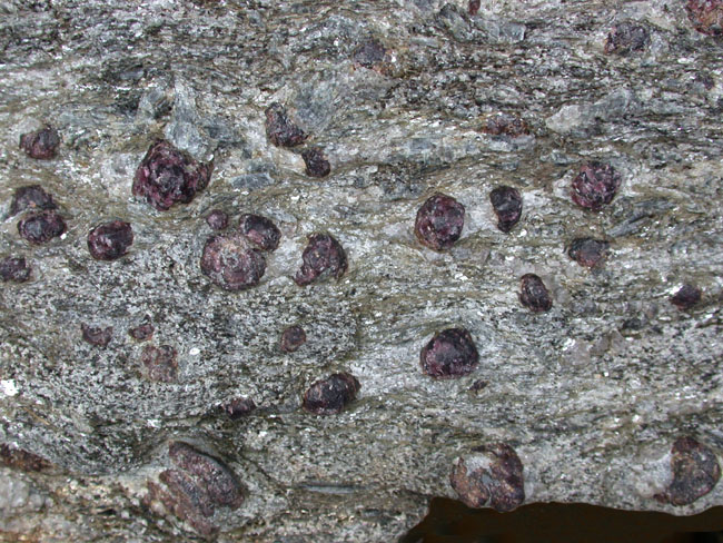 A mica schist, containing red garnets.