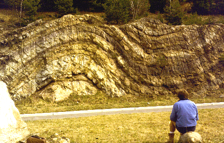 A small anticline next to a syncline.