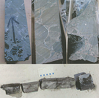 Core from the Bedout structure (top) and Chicxulub structure (bottom).