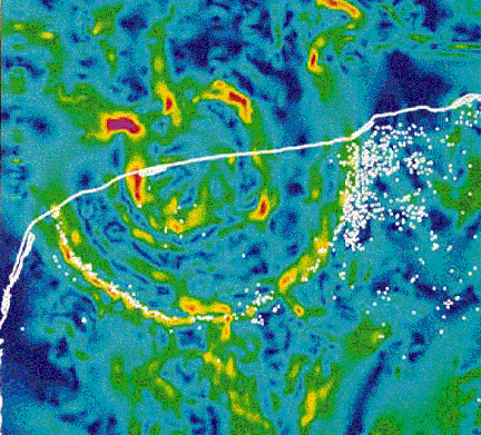 Gravity map of the Chicxulub structure.