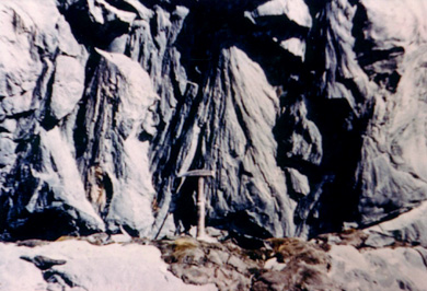 Large shatter cones in an outcrop at the Sudbury structure.