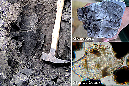 A field outcrop in Australia (left) that contains debris showing some evidence of a shock event; the Glossopteris guide fossil to the close of the Permian (upper right), and a shocked quartz fragment (lower right); all associated with the Bedout structure.