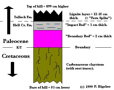 Stratigraphy of the K-T boundary at Hell Creek.