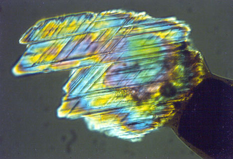 Planar features in a quartz grain found in the K/T boundary clay layer.