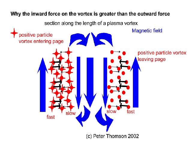 forces on a charge sheath vortex