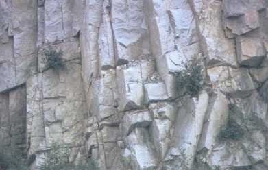 Joints in a rock unit exposed in a cliff.